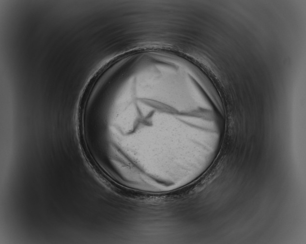 X0000095691038200801291213