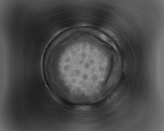 X0000095691039200801291213