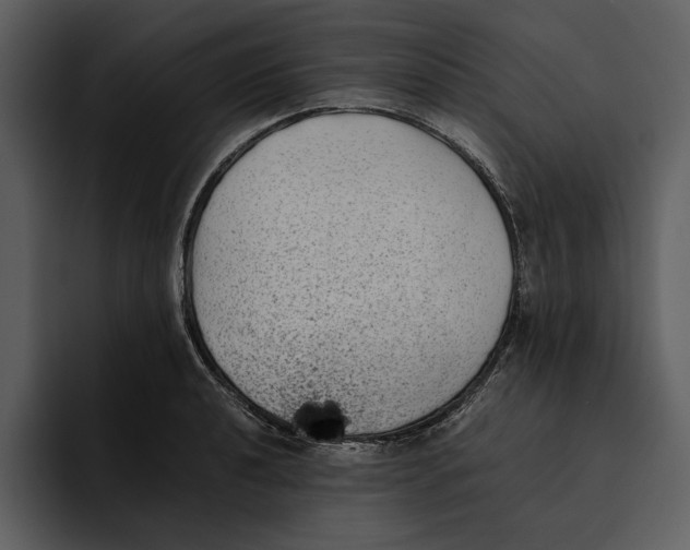 X0000095691040200801291213