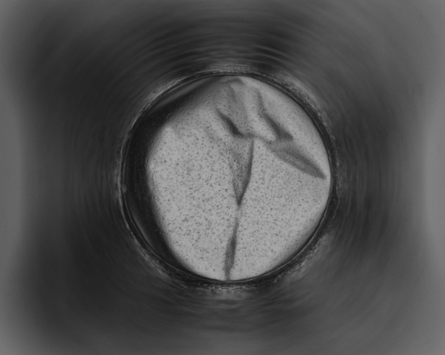 X0000095691041200801291213