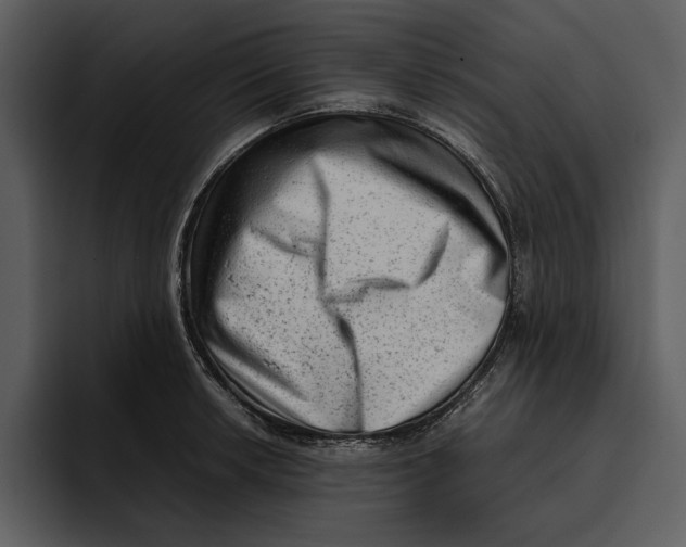 X0000095691042200801291213