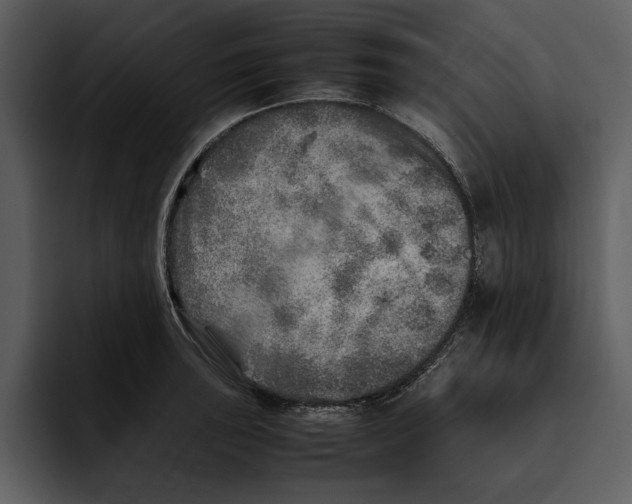 X0000095691043200801291213