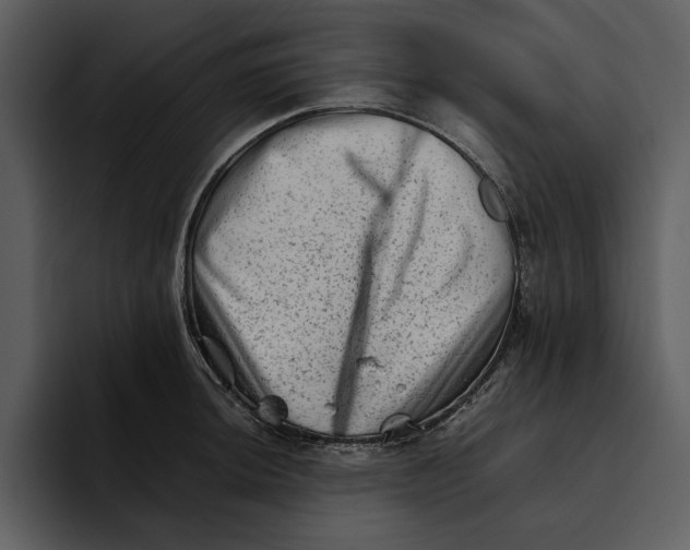 X0000095691044200801291213