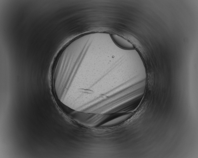 X0000095691046200801291213