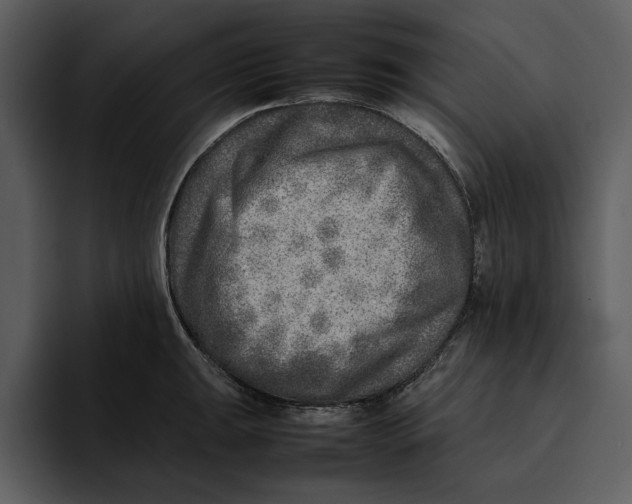 X0000095691047200801291213