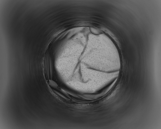 X0000095691049200801291213