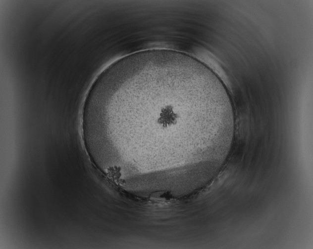 X0000095691051200801291213