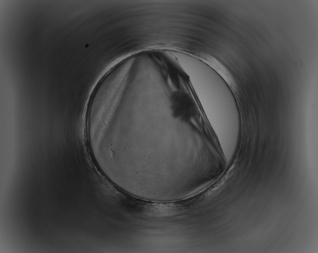 X0000095691052200801291213