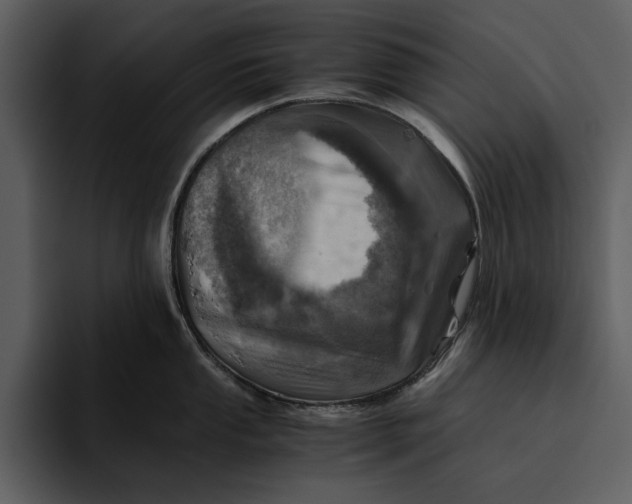 X0000095691053200801291213