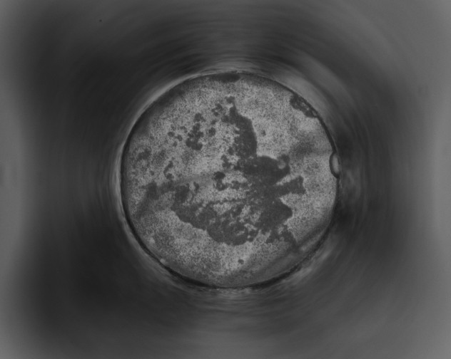 X0000095691055200801291213