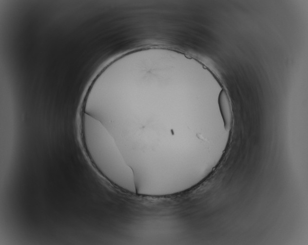 X0000095691056200801291213