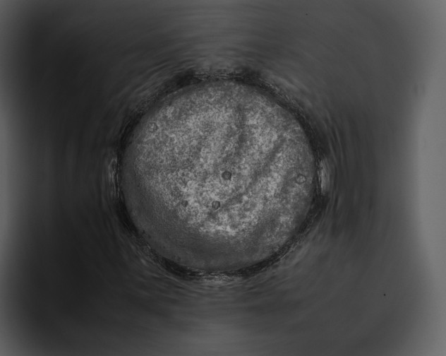 X0000095691059200801291213