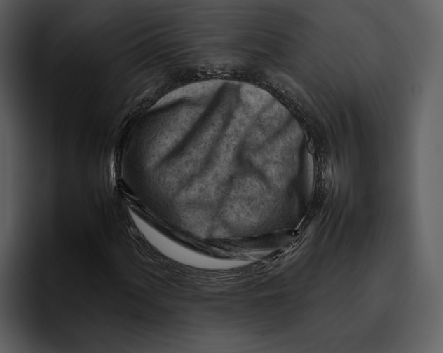 X0000095691060200801291213