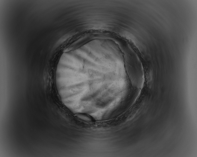 X0000095691064200801291212