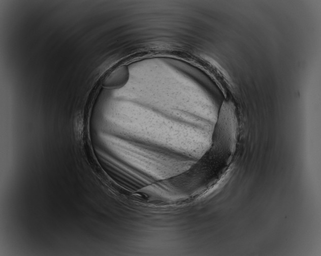 X0000095691065200801291212