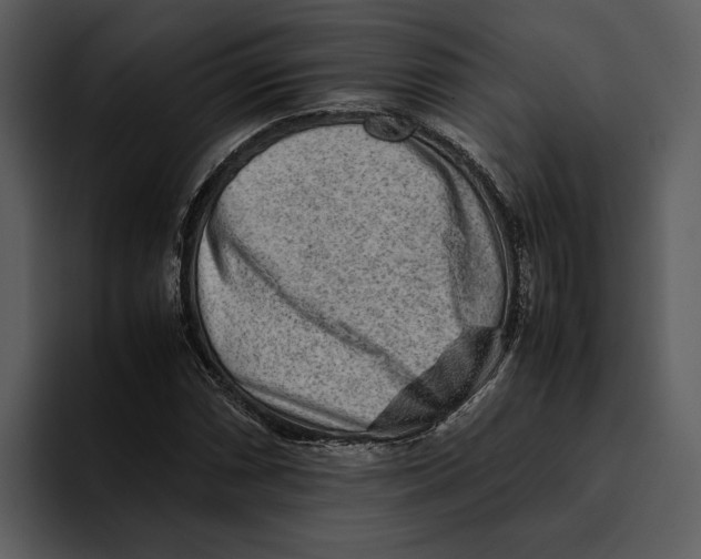 X0000095691066200801291212