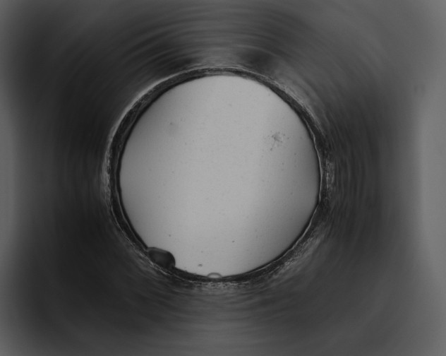 X0000095691068200801291212