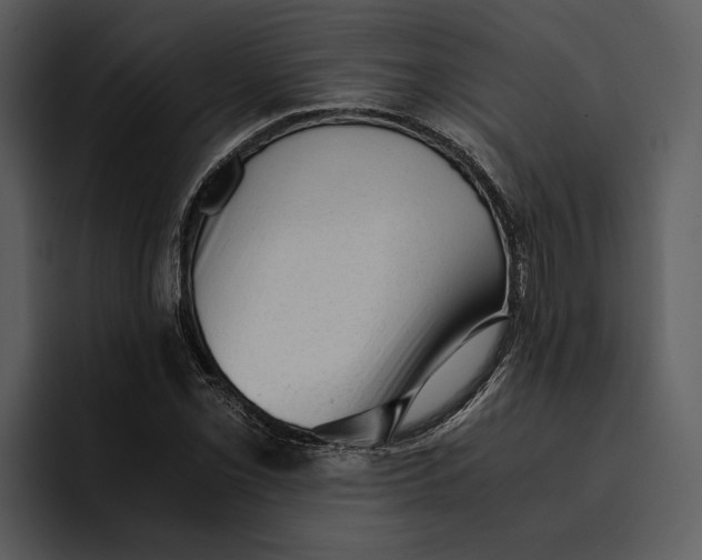 X0000095691069200801291212