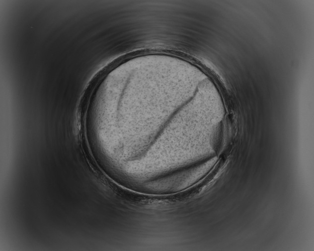 X0000095691070200801291212