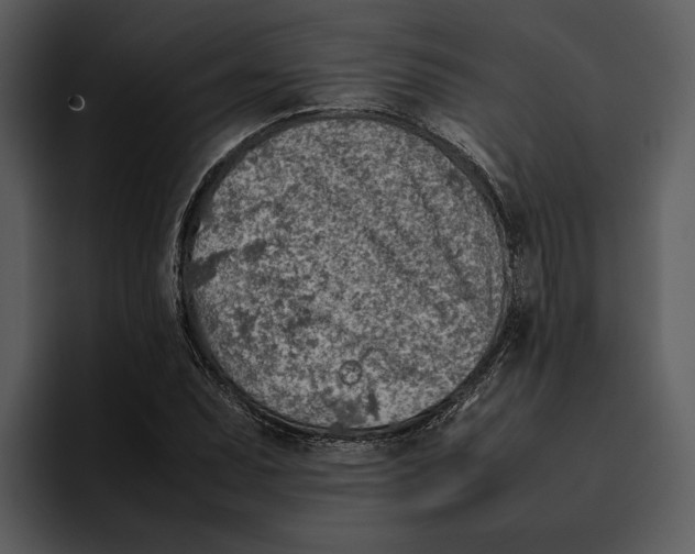 X0000095691071200801291212