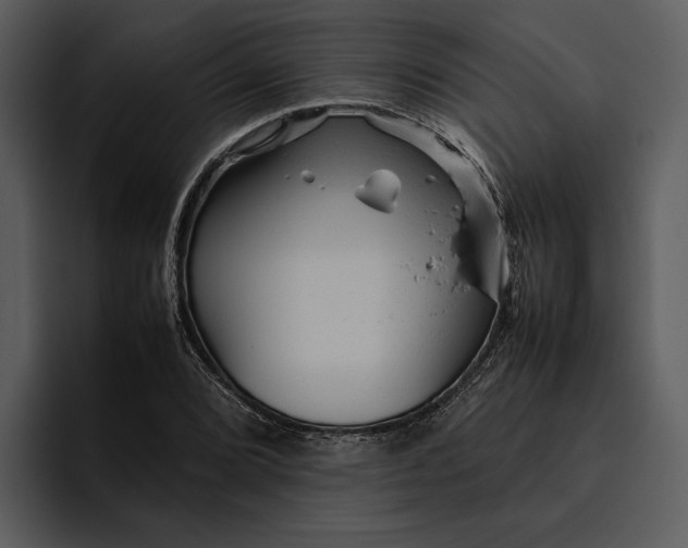 X0000095691072200801291212