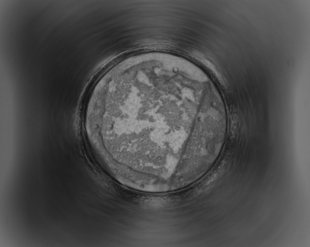 X0000095691074200801291212