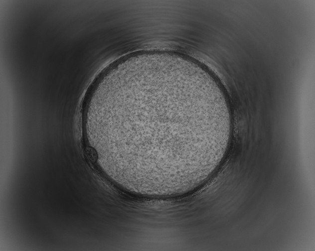 X0000095691075200801291212