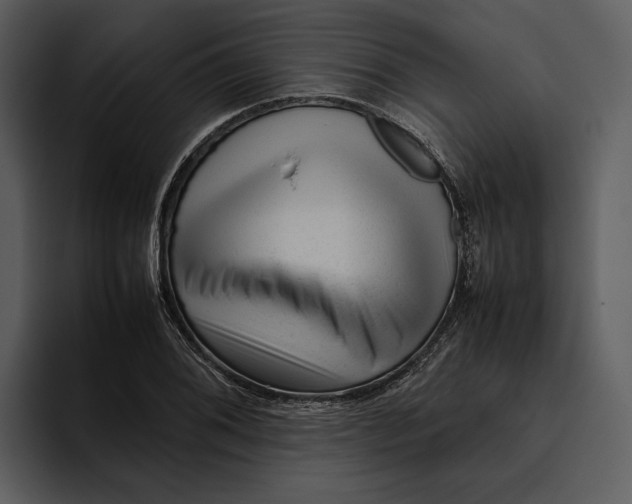 X0000095691076200801291212