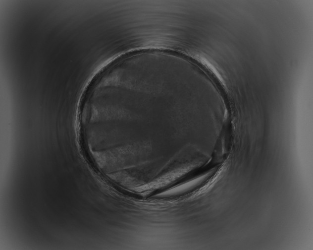 X0000095691077200801291212