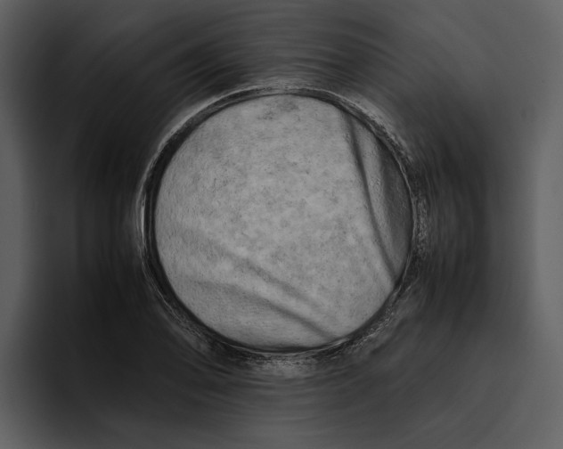 X0000095691078200801291212