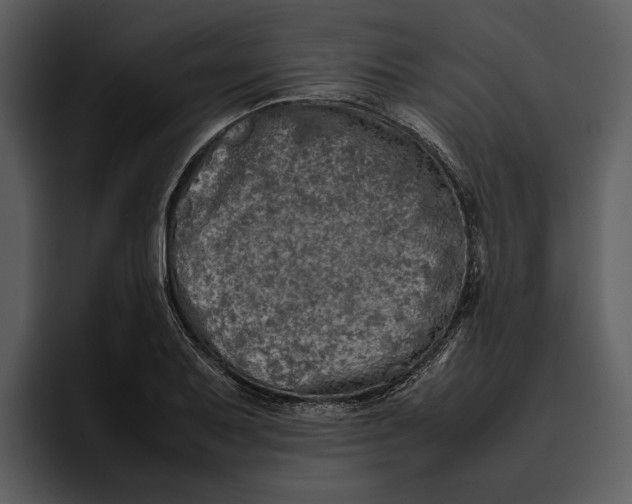 X0000095691079200801291212