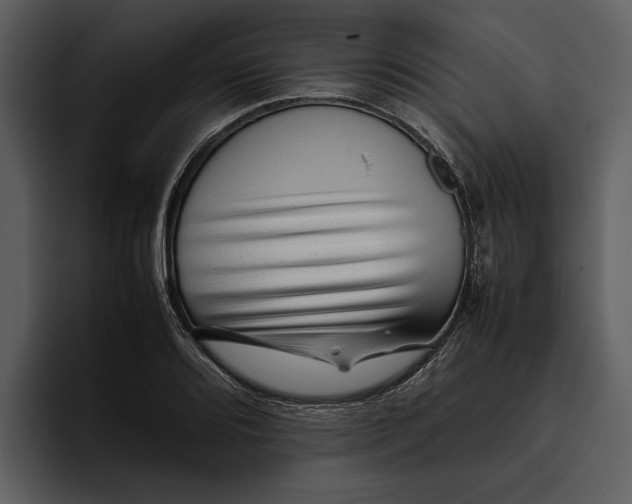 X0000095691080200801291212