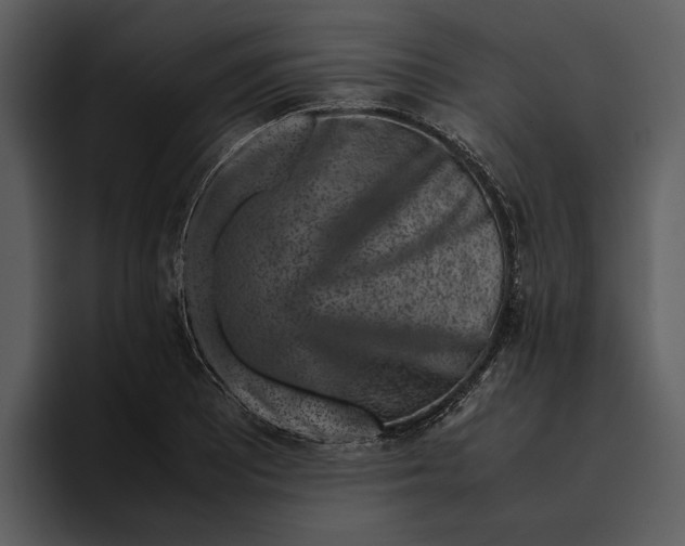 X0000095691081200801291212