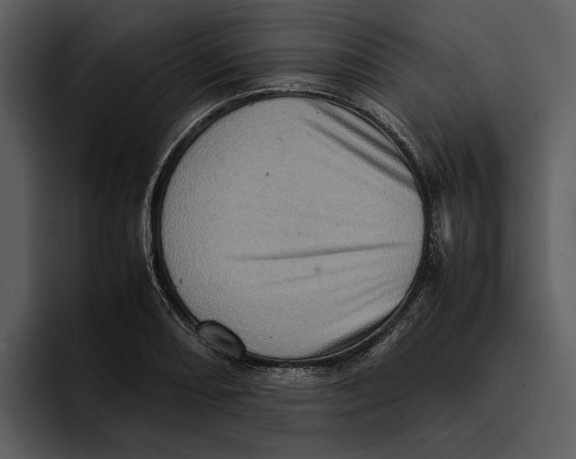 X0000095691082200801291212