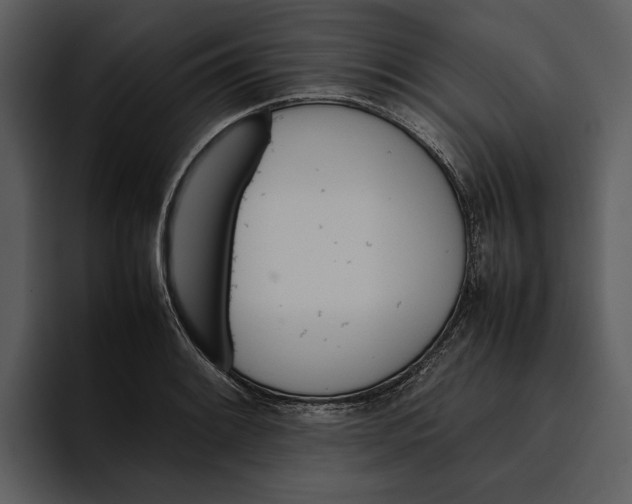 X0000095691084200801291212