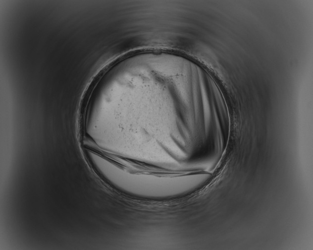 X0000095691085200801291212