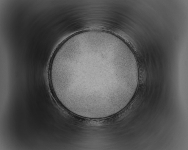 X0000095691086200801291212