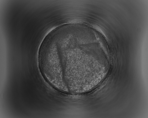 X0000095691087200801291212