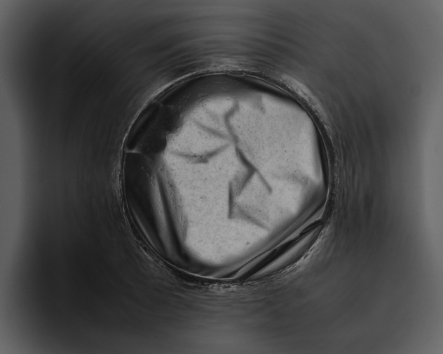 X0000095691089200801291212