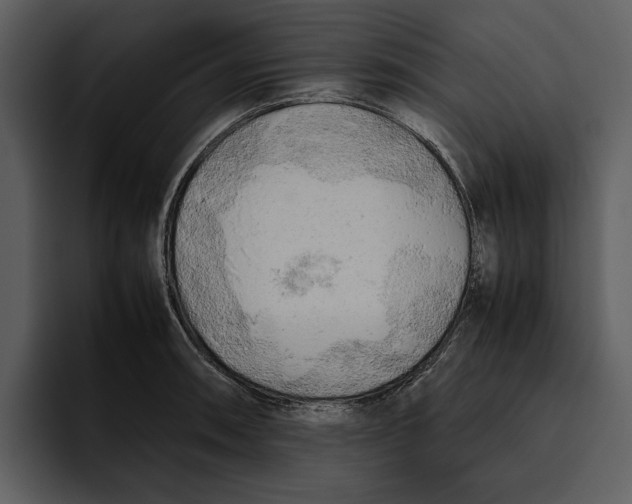 X0000095691090200801291212