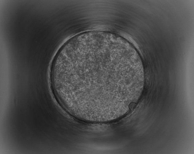 X0000095691091200801291212