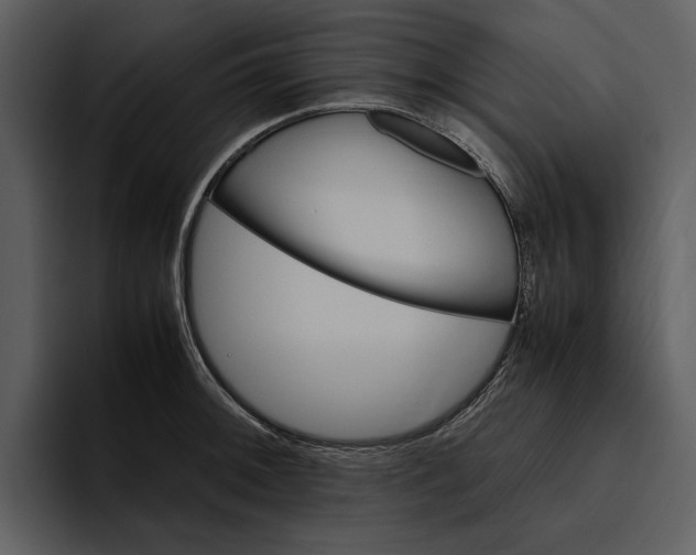 X0000095691092200801291212