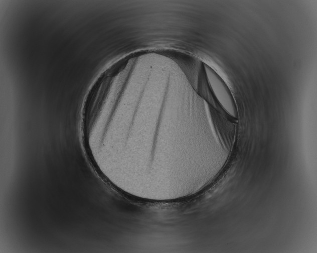 X0000095691093200801291212