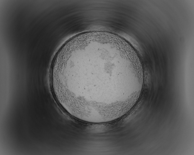 X0000095691094200801291212