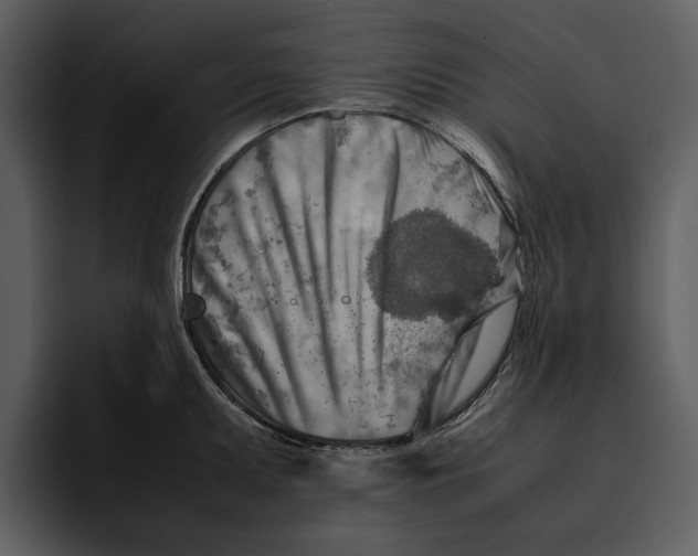 X0000095691095200801291212