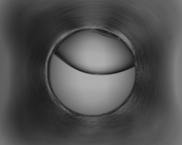 X0000095691096200801291212