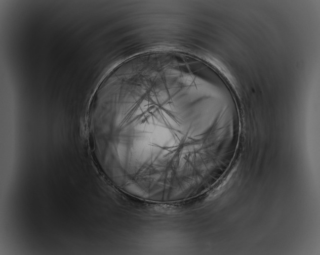 X0000095691097200801291212