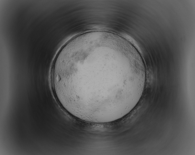 X0000095691098200801291212