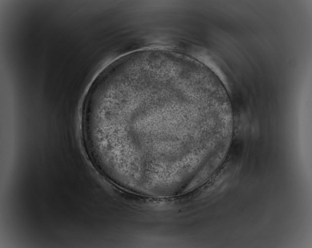 X0000095691099200801291212