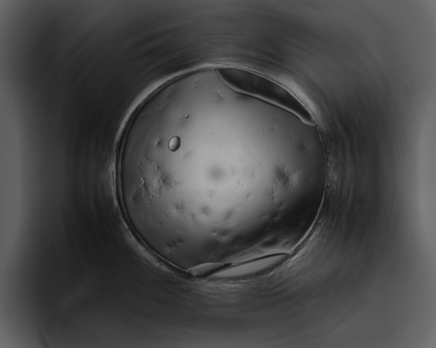 X0000095691100200801291212